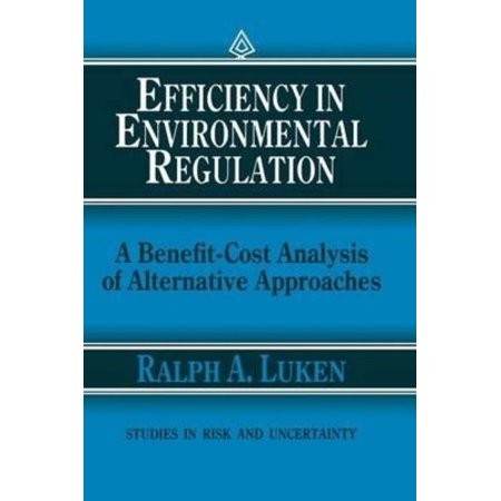 Efficiency in Environmental Regulation