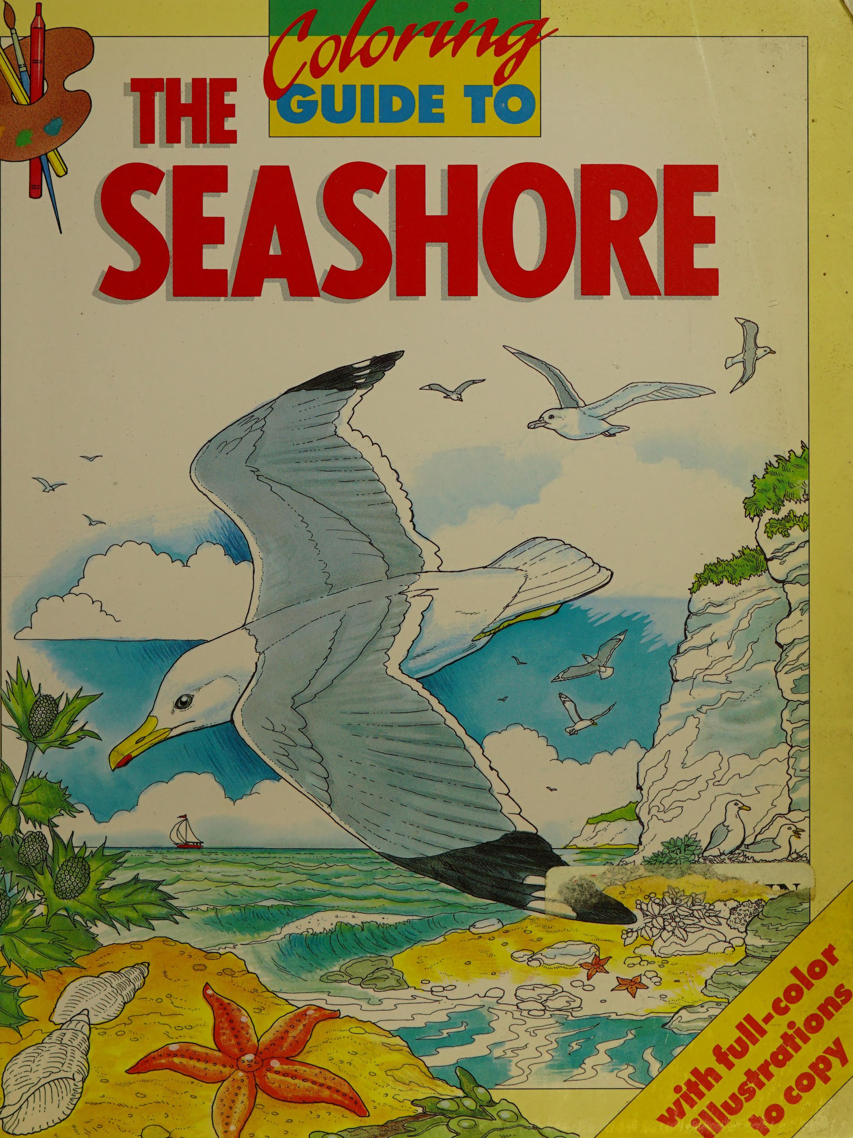 Coloring Guide to the Seashore