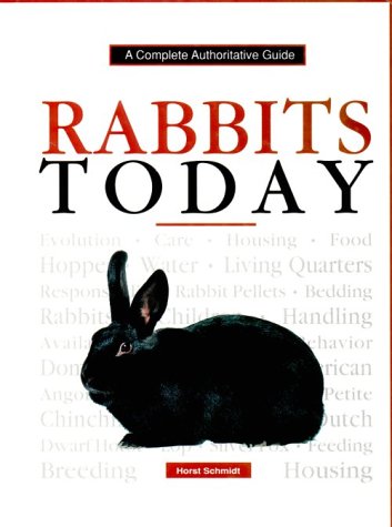 Rabbits Today