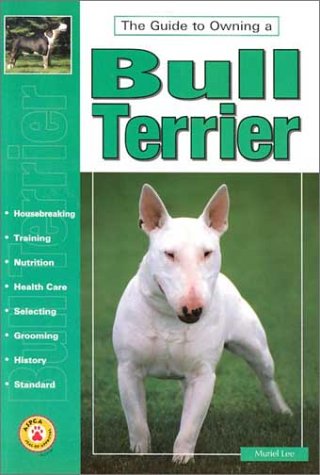 Guide To Owning A Bull Terrier