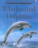 Whales and Dolphins
