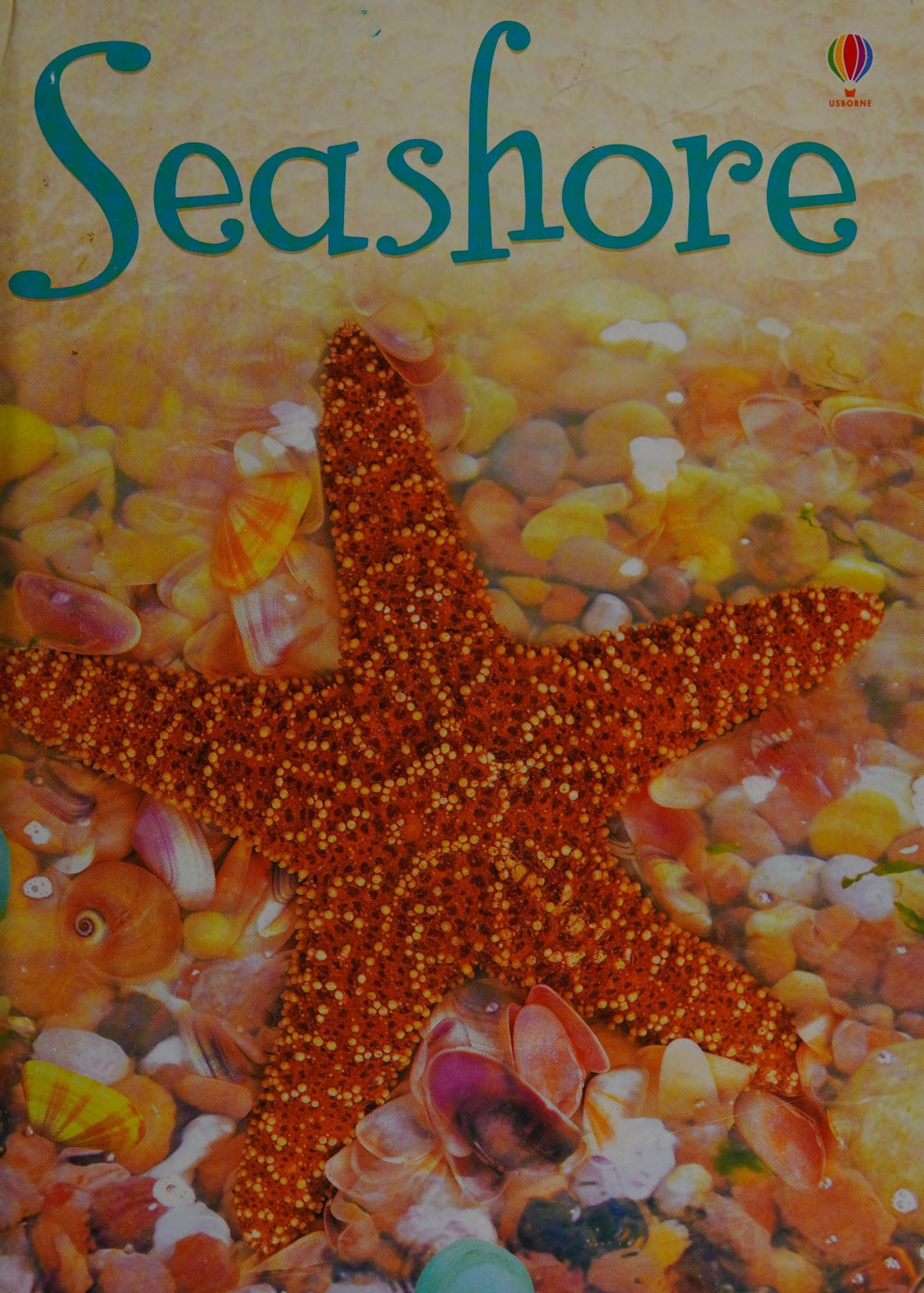 Seashore