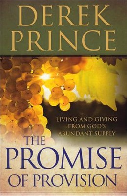 The Promise of Provision