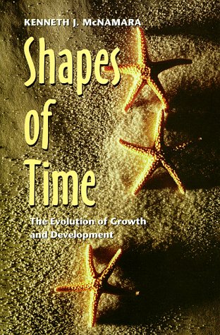 Shapes Of Time