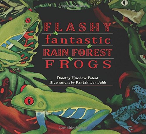 Flashy, Fantastic Rain Forest Frogs