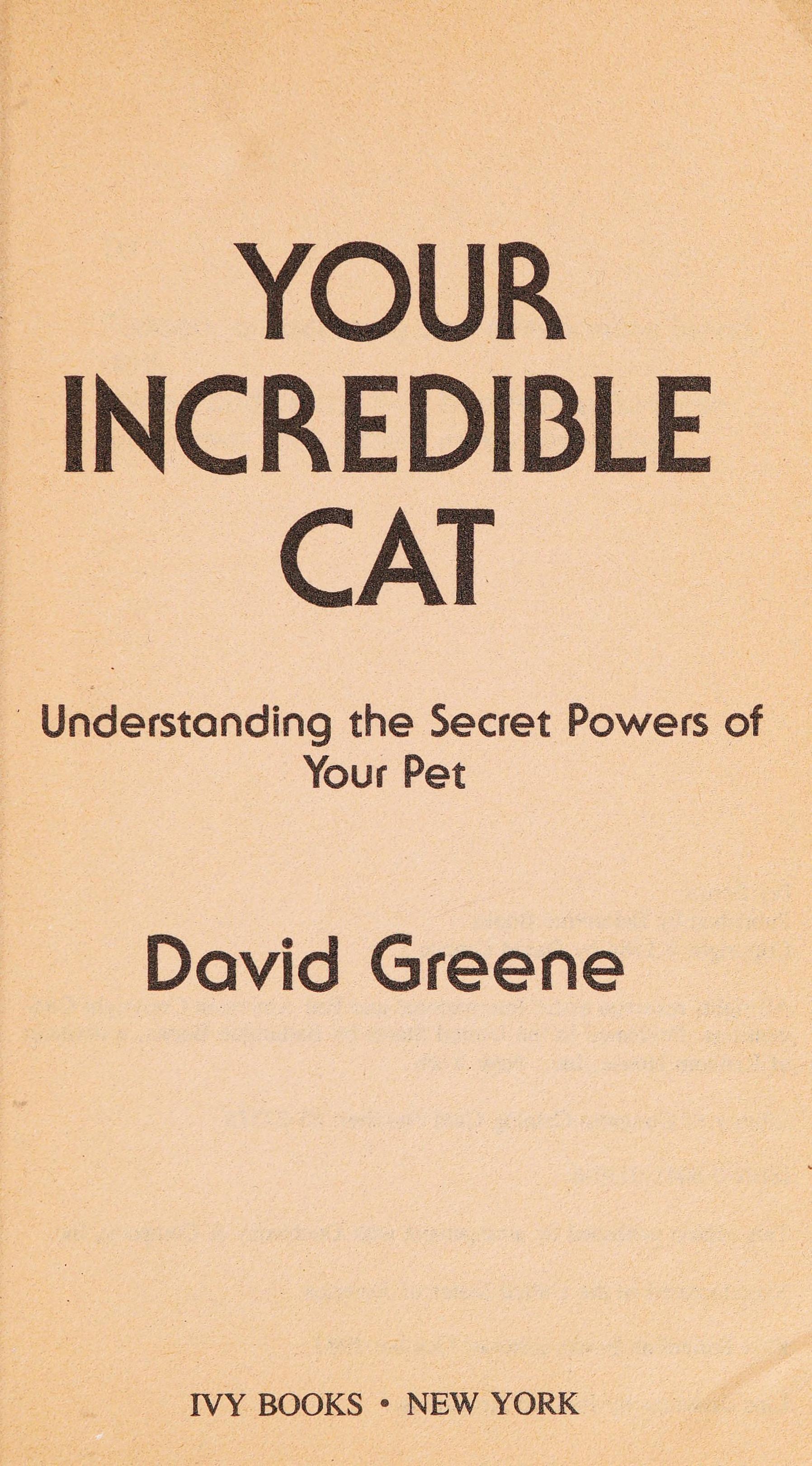 Your Incredible Cat