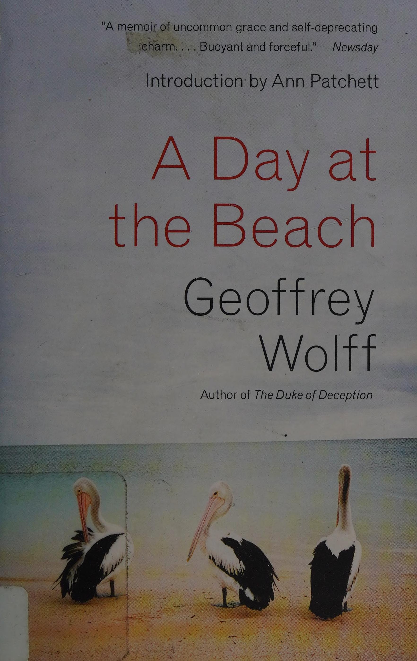 A Day At The Beach