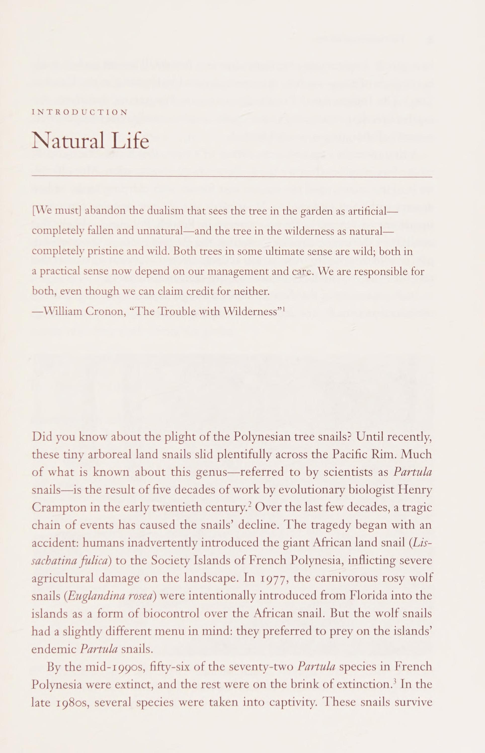 Wild Life