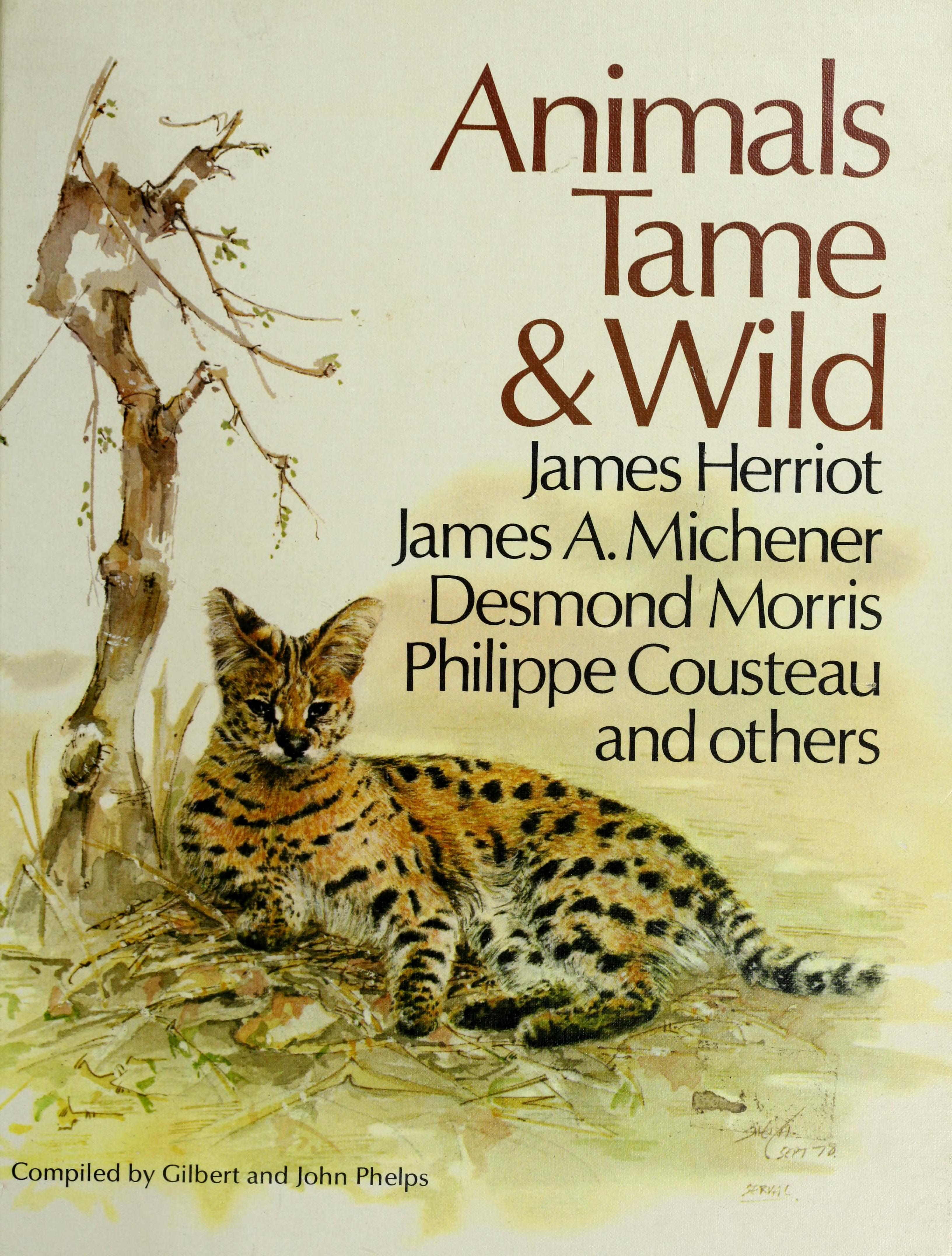 Animals Tame And Wild