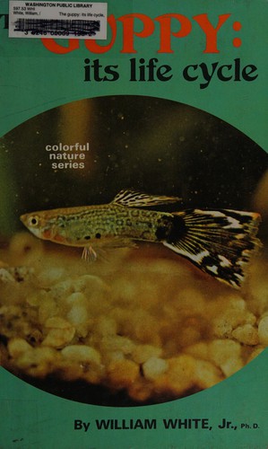 The guppy: its life cycle
