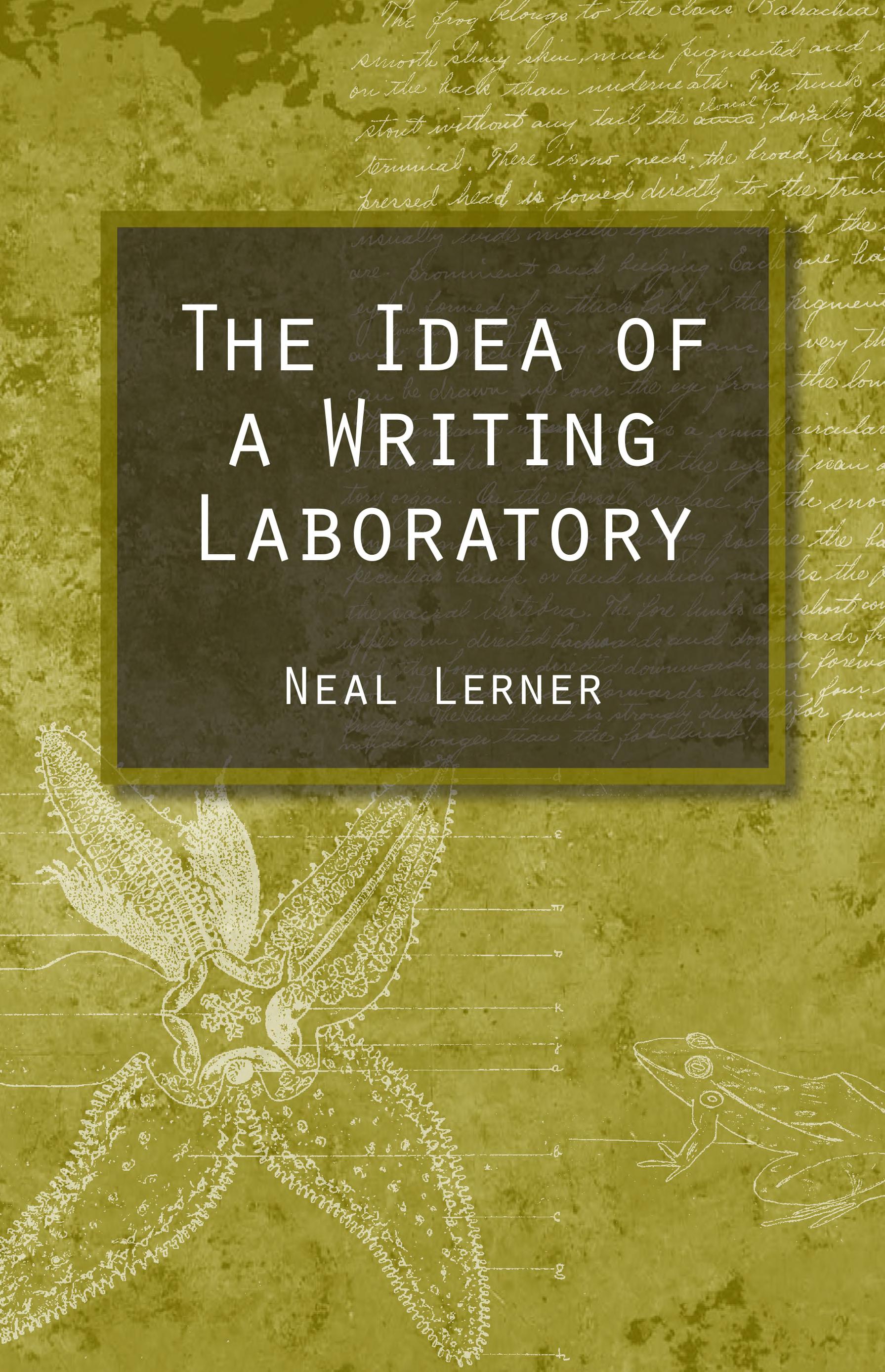 The idea of a writing laboratory