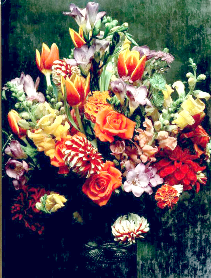 Decorating with Plants