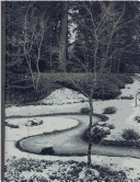 Winter Gardens