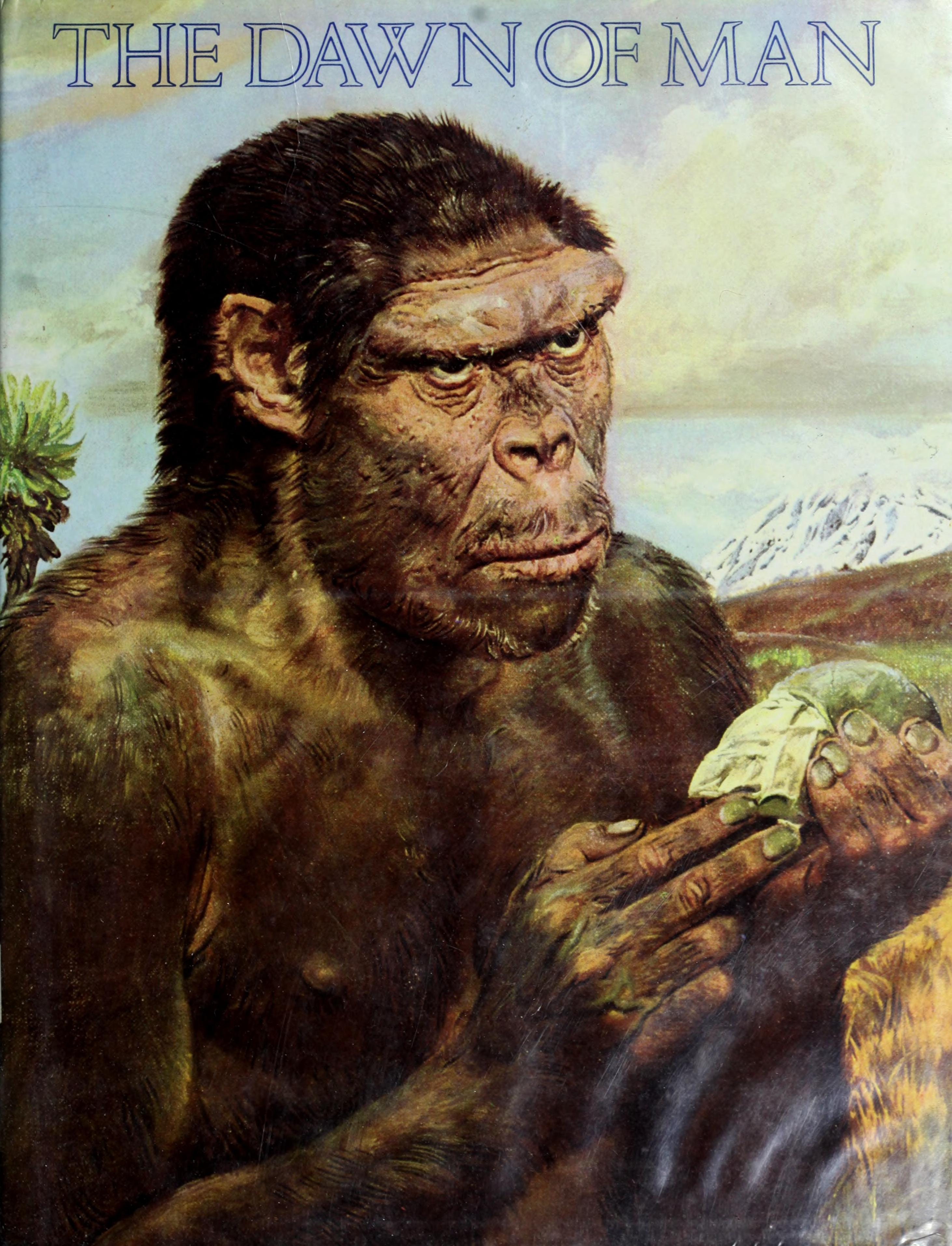 The Dawn Of Man