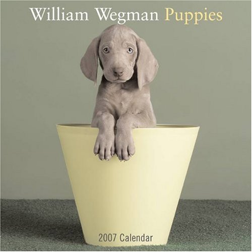 William Wegman Puppies 2007 Wall Calendar