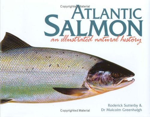 Atlantic Salmon