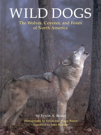 Wild Dogs