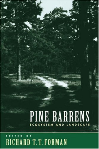 Pine Barrens