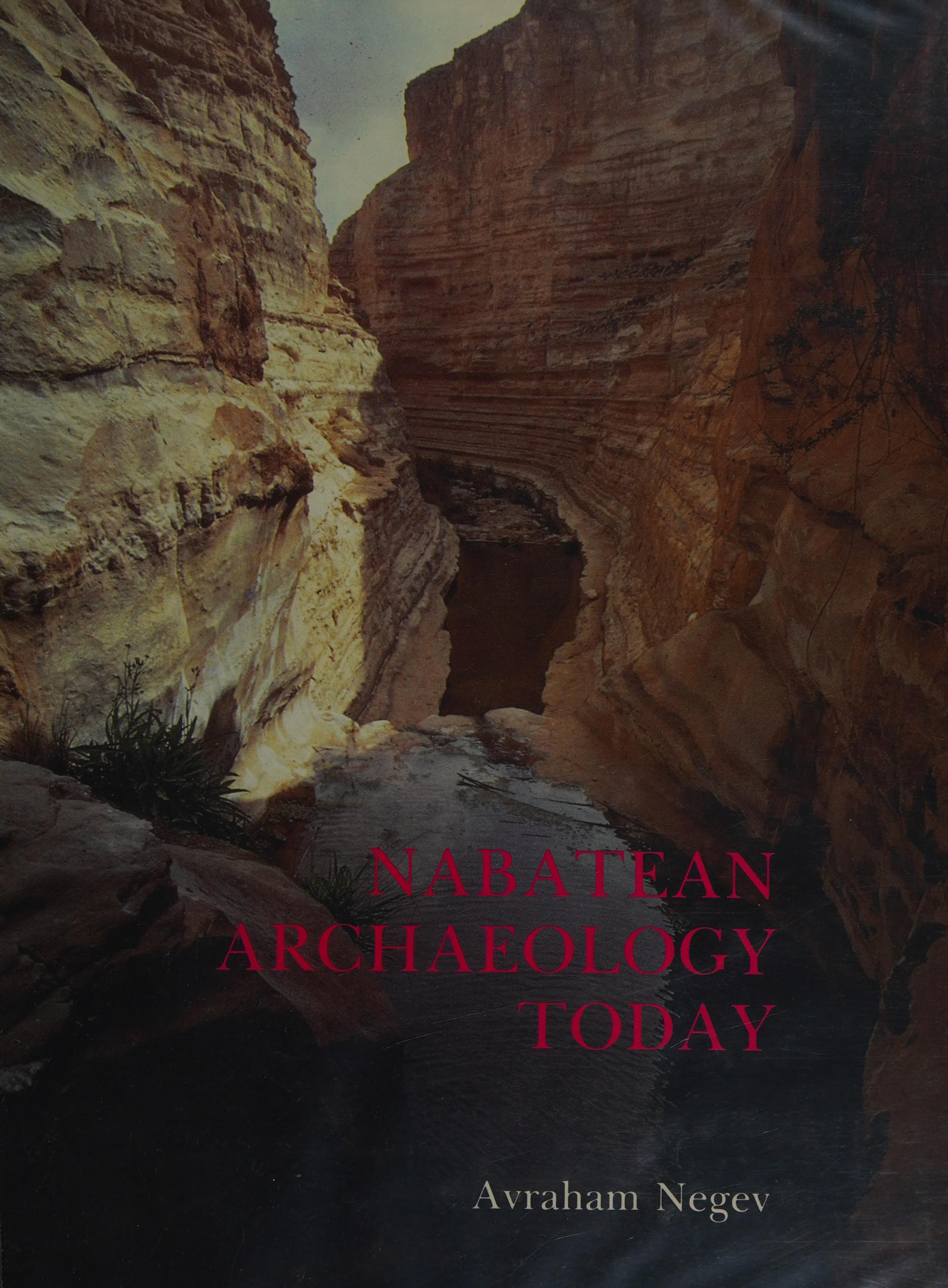 Nabatean Archaeology Today