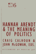 Hannah Arendt and the Meaning of Politics