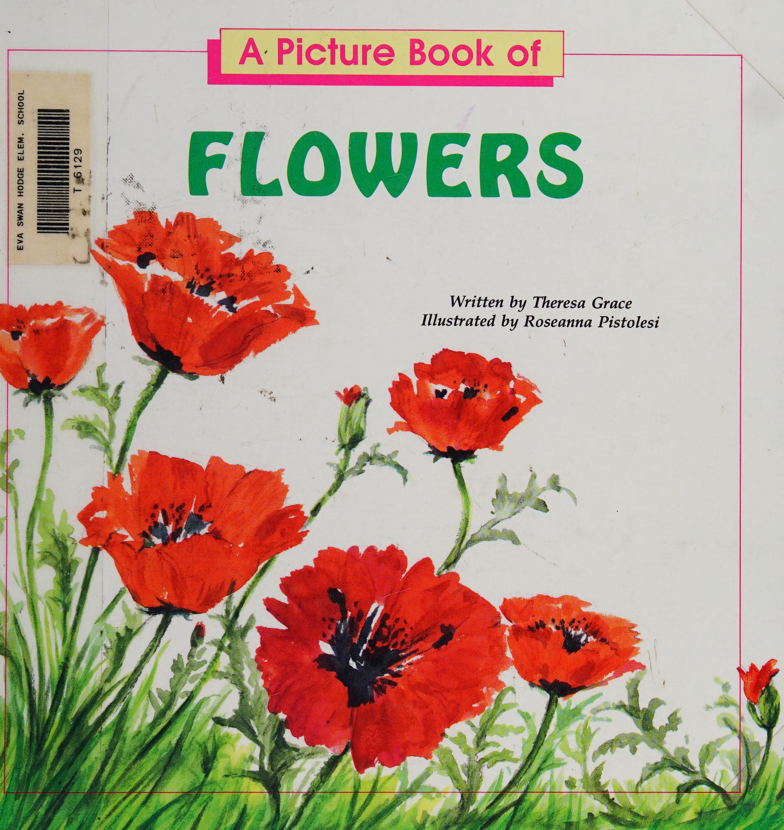 A Picture Book Of Flowers