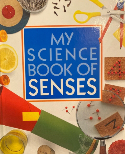 Senses