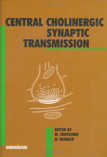 Central Cholinergic Synaptic Transmission