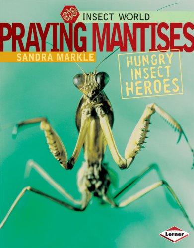 Praying Mantises