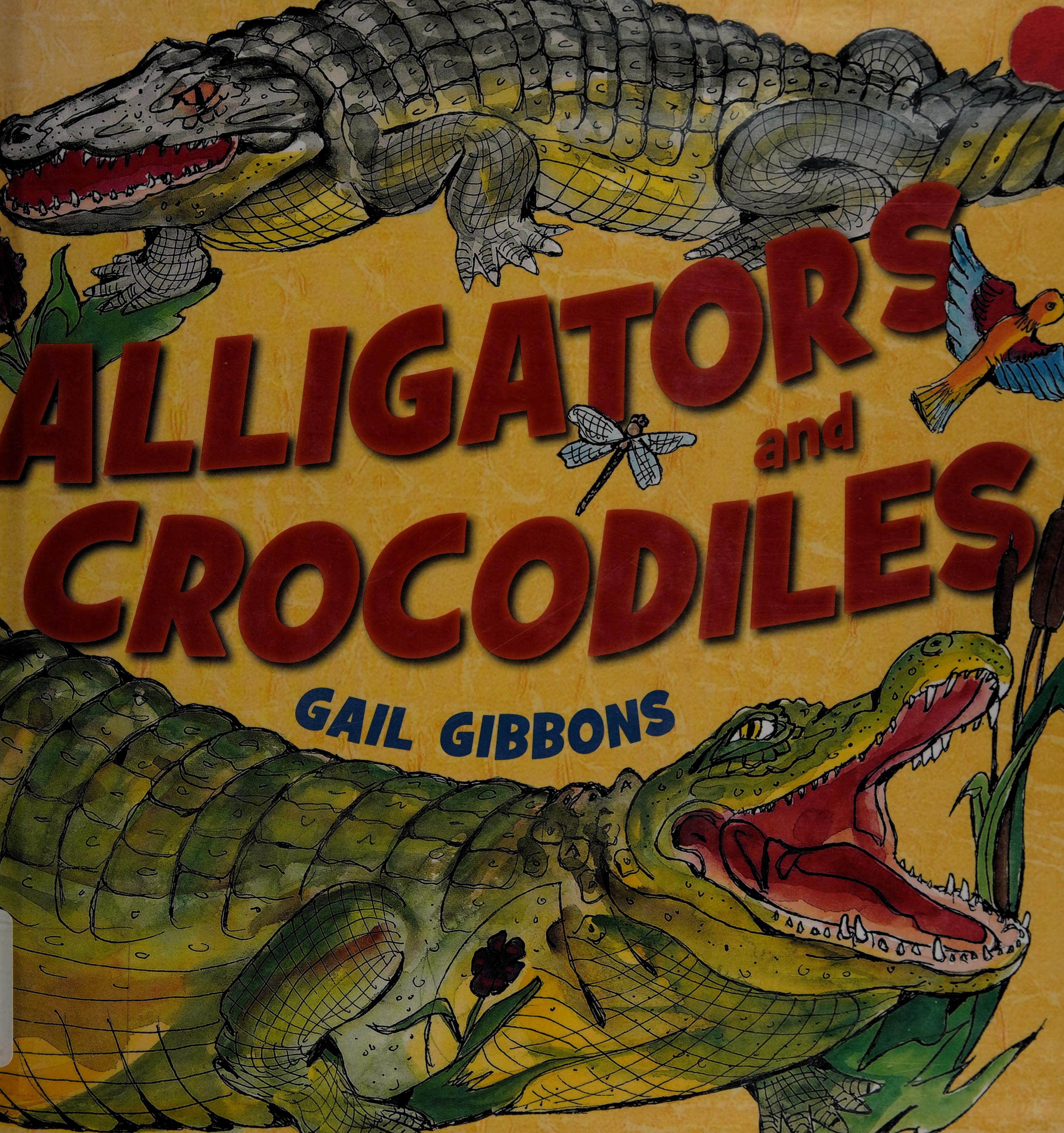 Alligators and Crocodiles