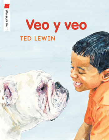 Veo y Veo