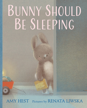 Bunny Should Be Sleeping by Amy Hest; Illustrated By Renata Liwska, ISBN 9780823457441
