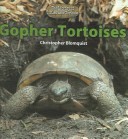 Gopher Tortoises