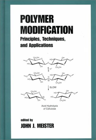 Polymer Modification: Principles, Techniques, And Applications