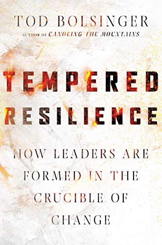 Tempered Resilience