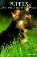Puppies