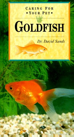 Caring for Your Pet Goldfish