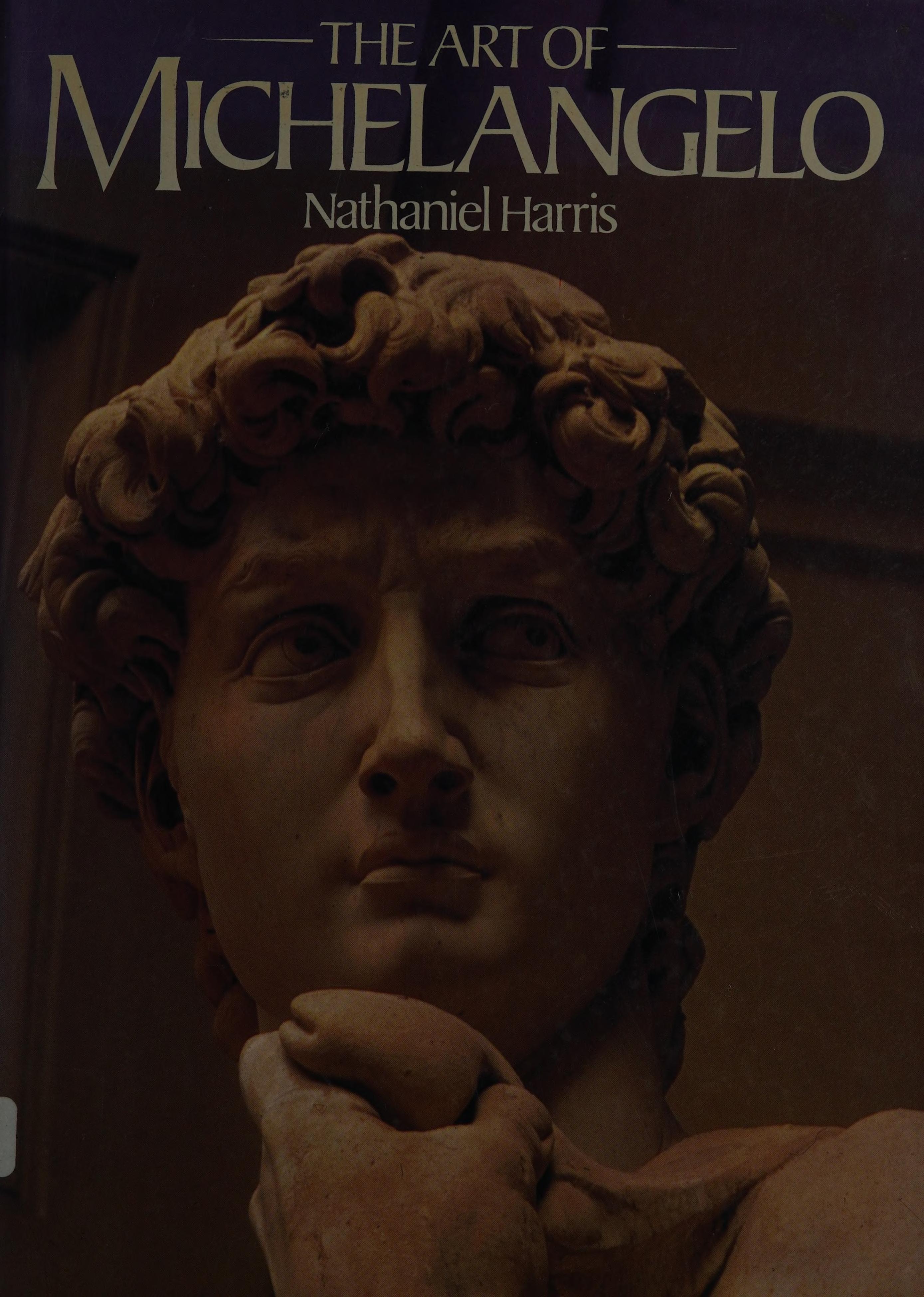 The Art Of Michelangelo