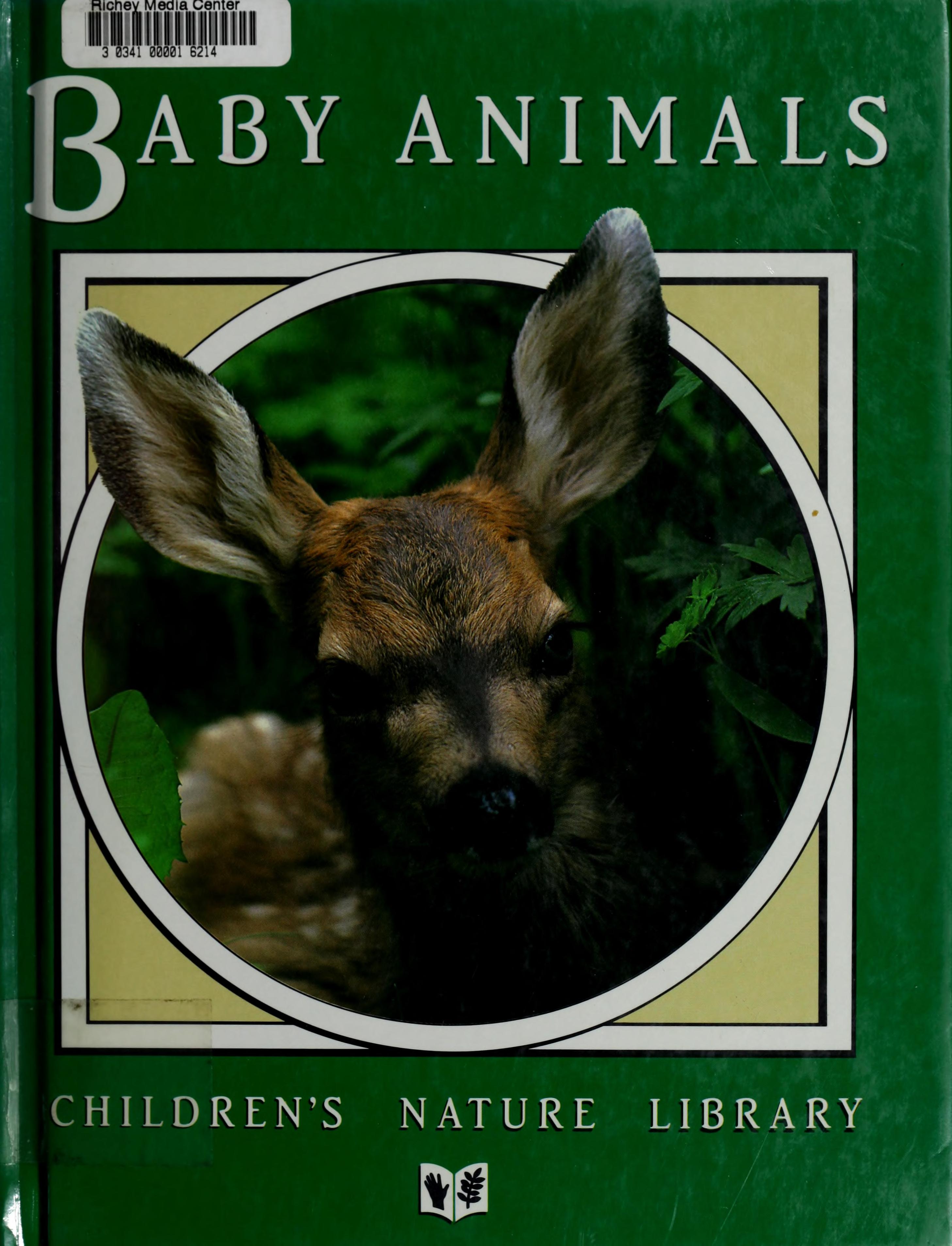 Baby Animals