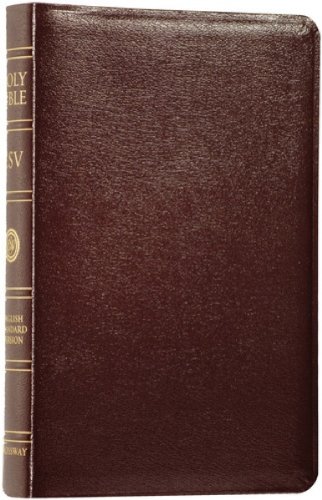 The Everyday Bible, New Century Version, Burgundy Leather