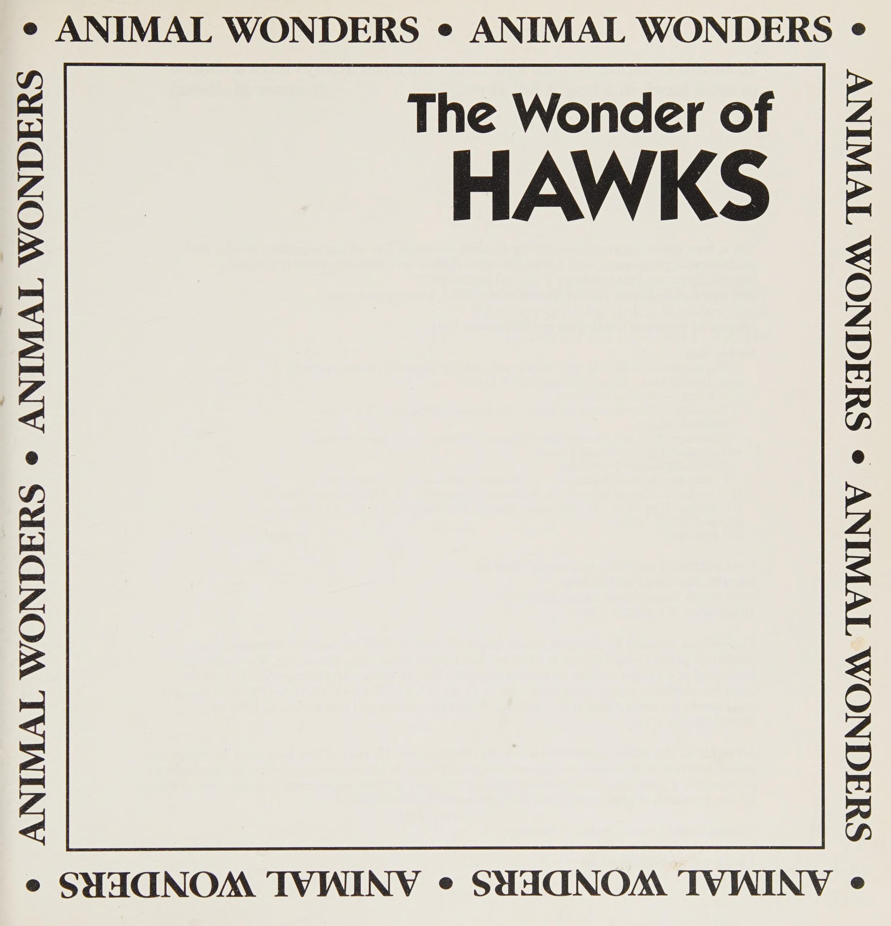 The wonder of hawks