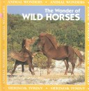The wonder of wild horses