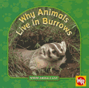 Why animals live in burrows