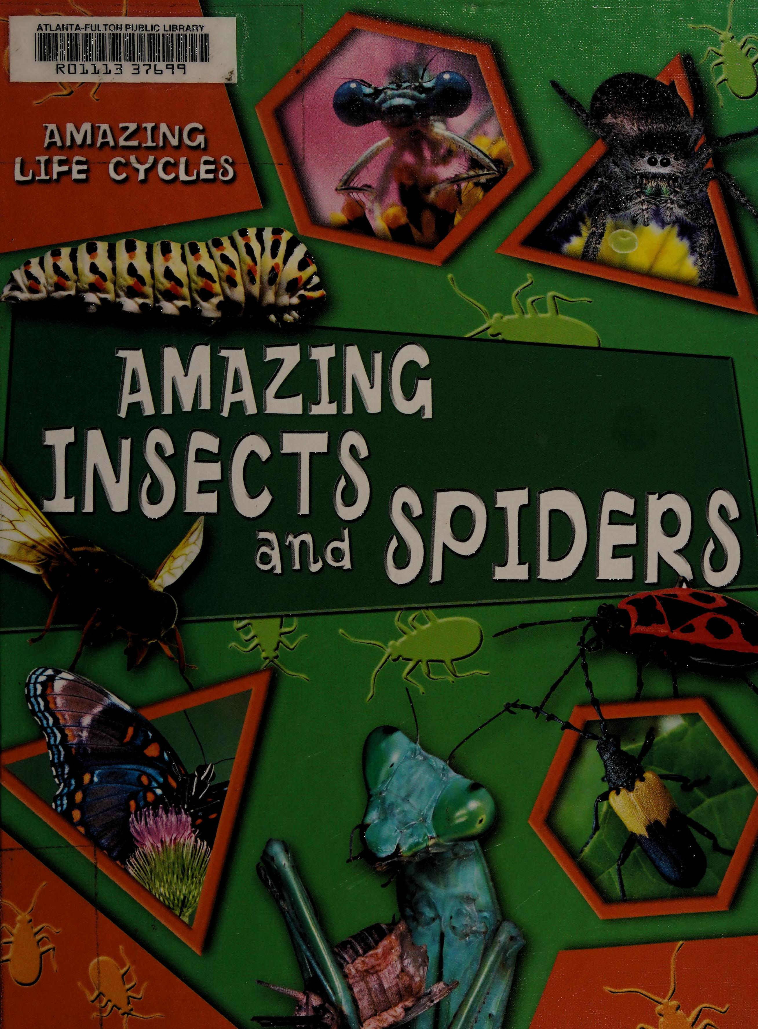 Amazing Insects and Spiders