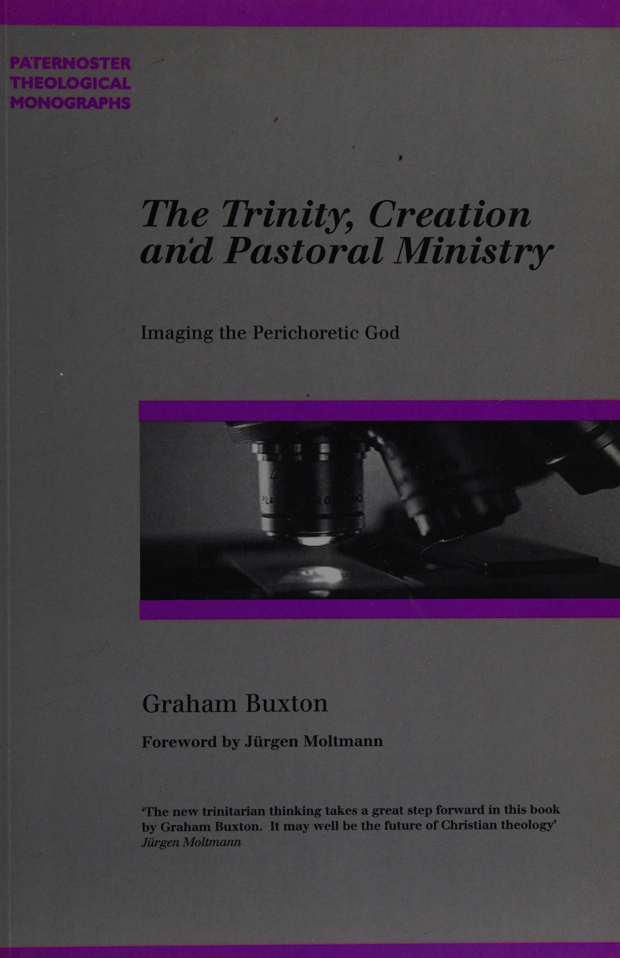 The Trinity, Creation And Pastoral Ministry: Imaging The Perichoretic God