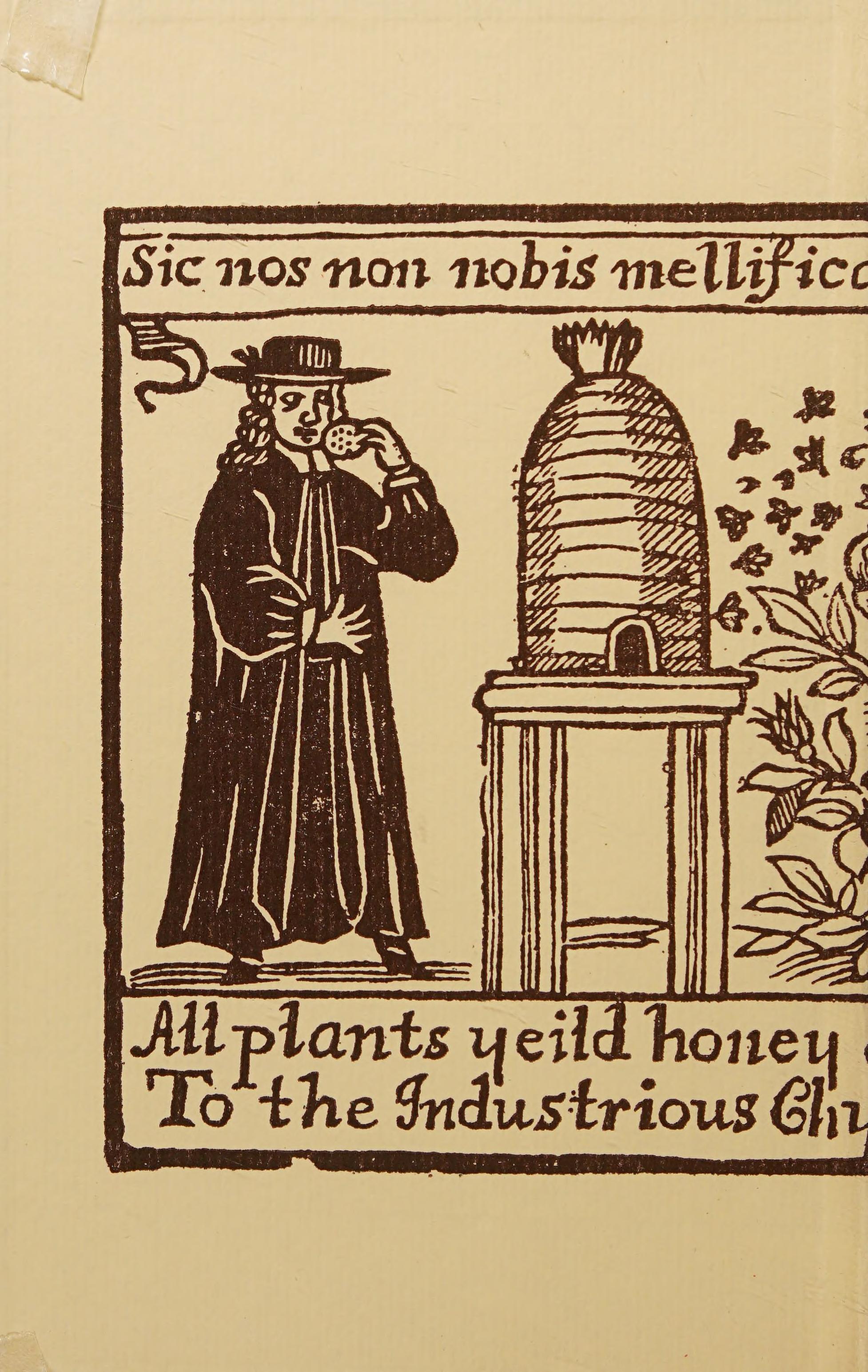 Honey, A Comprehensive Survey