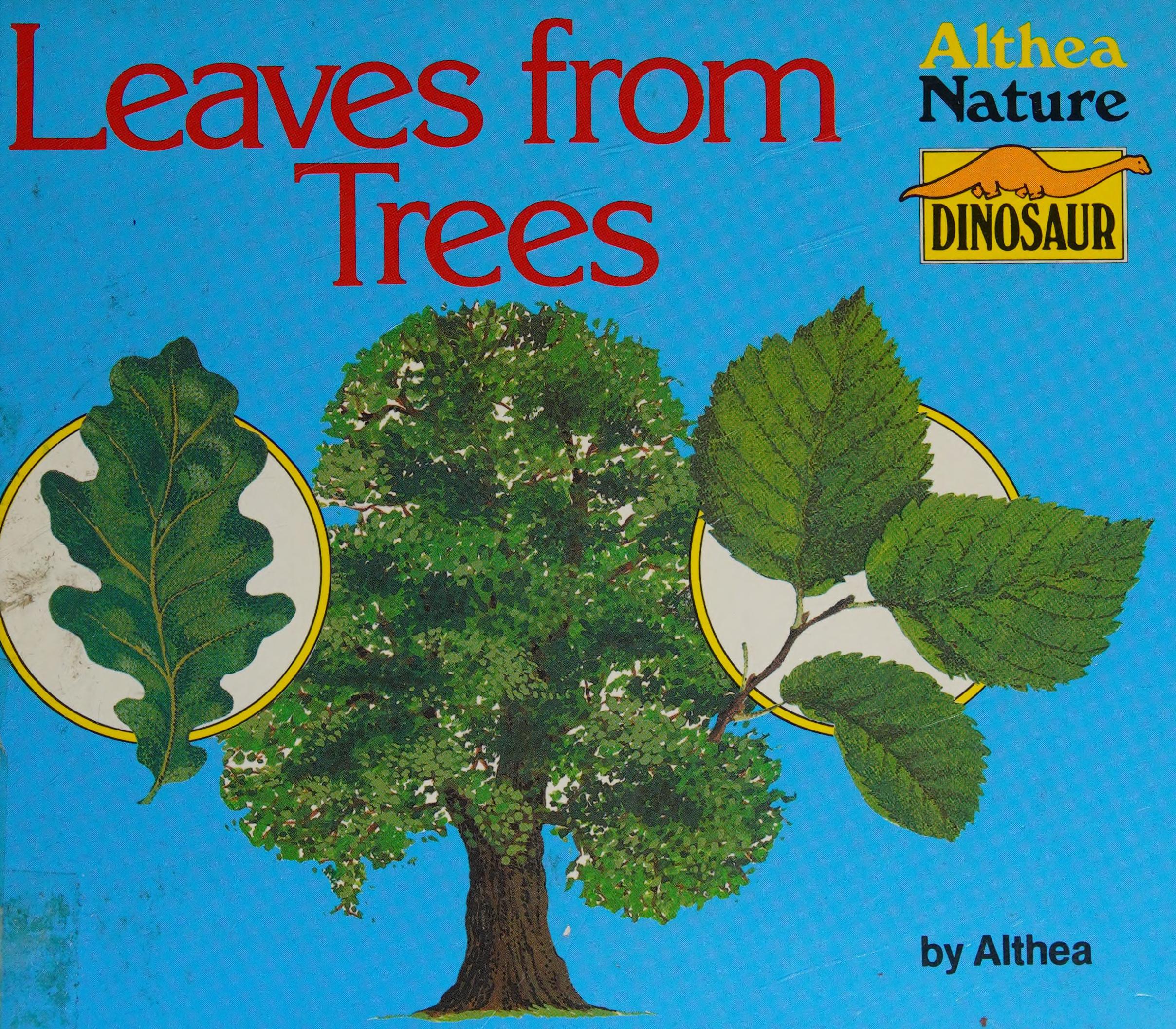Leaves from Trees