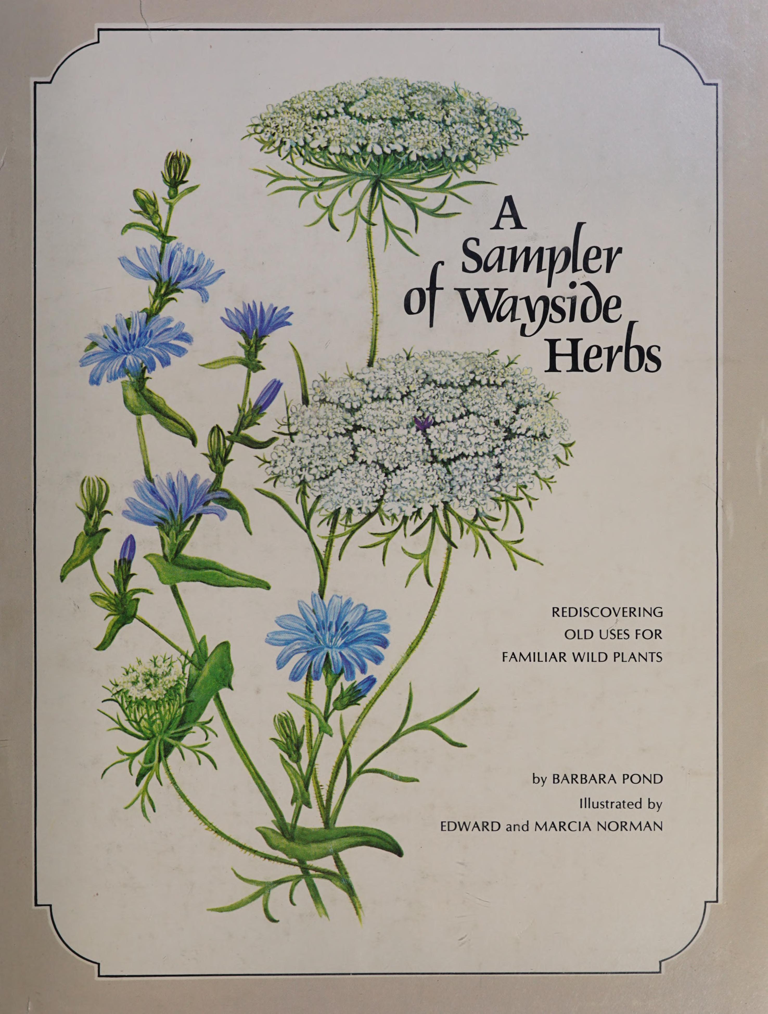 A Sampler of Wayside Herbs