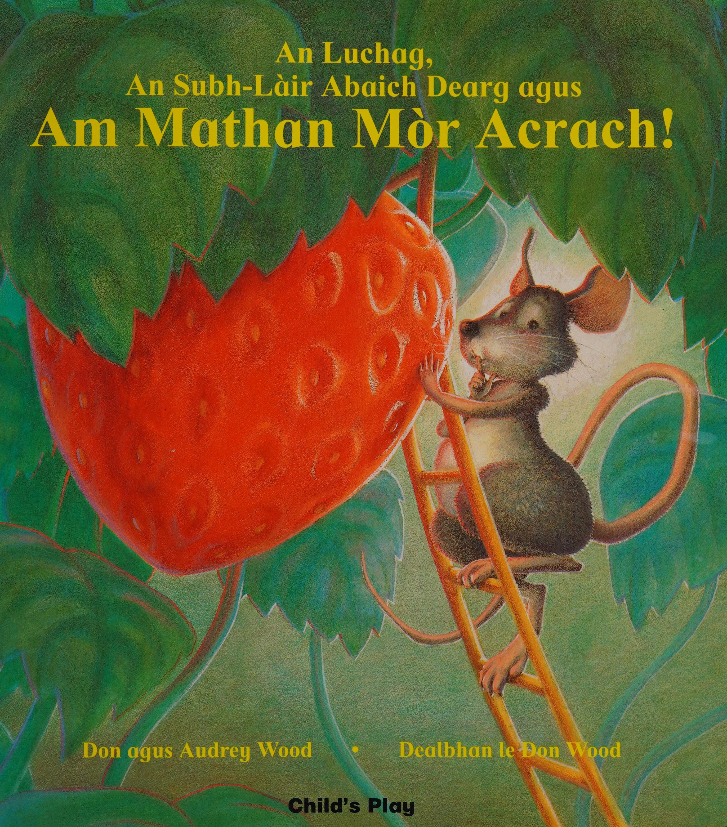 Am Mathan Mor Acrach