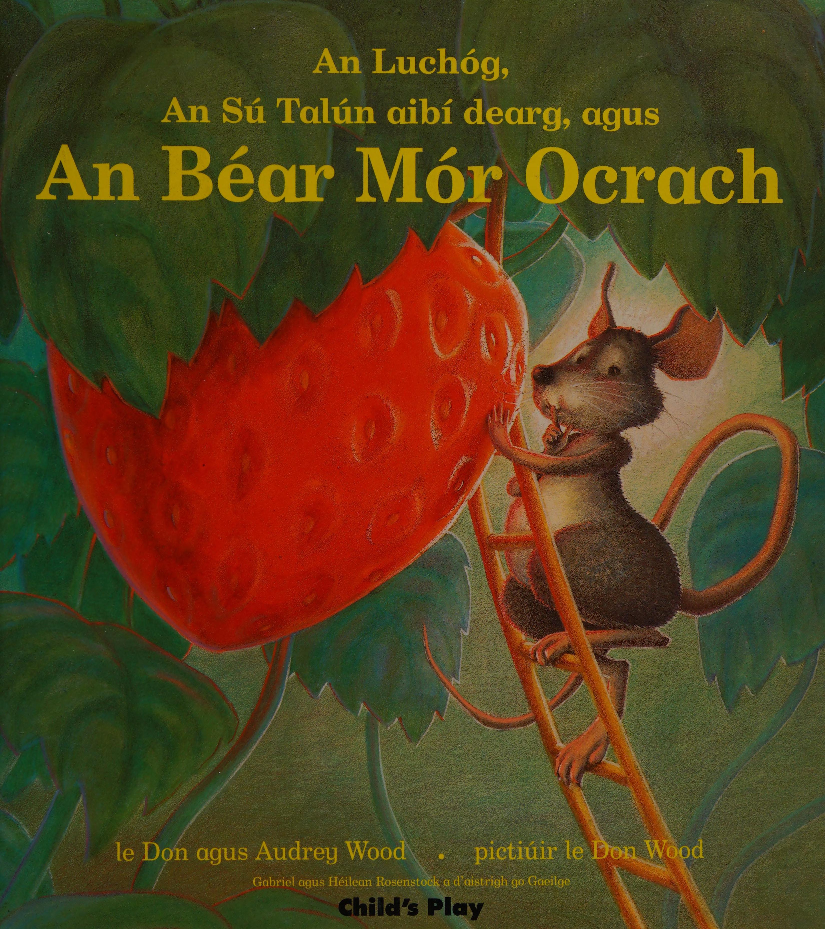 An Bear Mor Orach (Child'S Play Library) (Irish Edition)