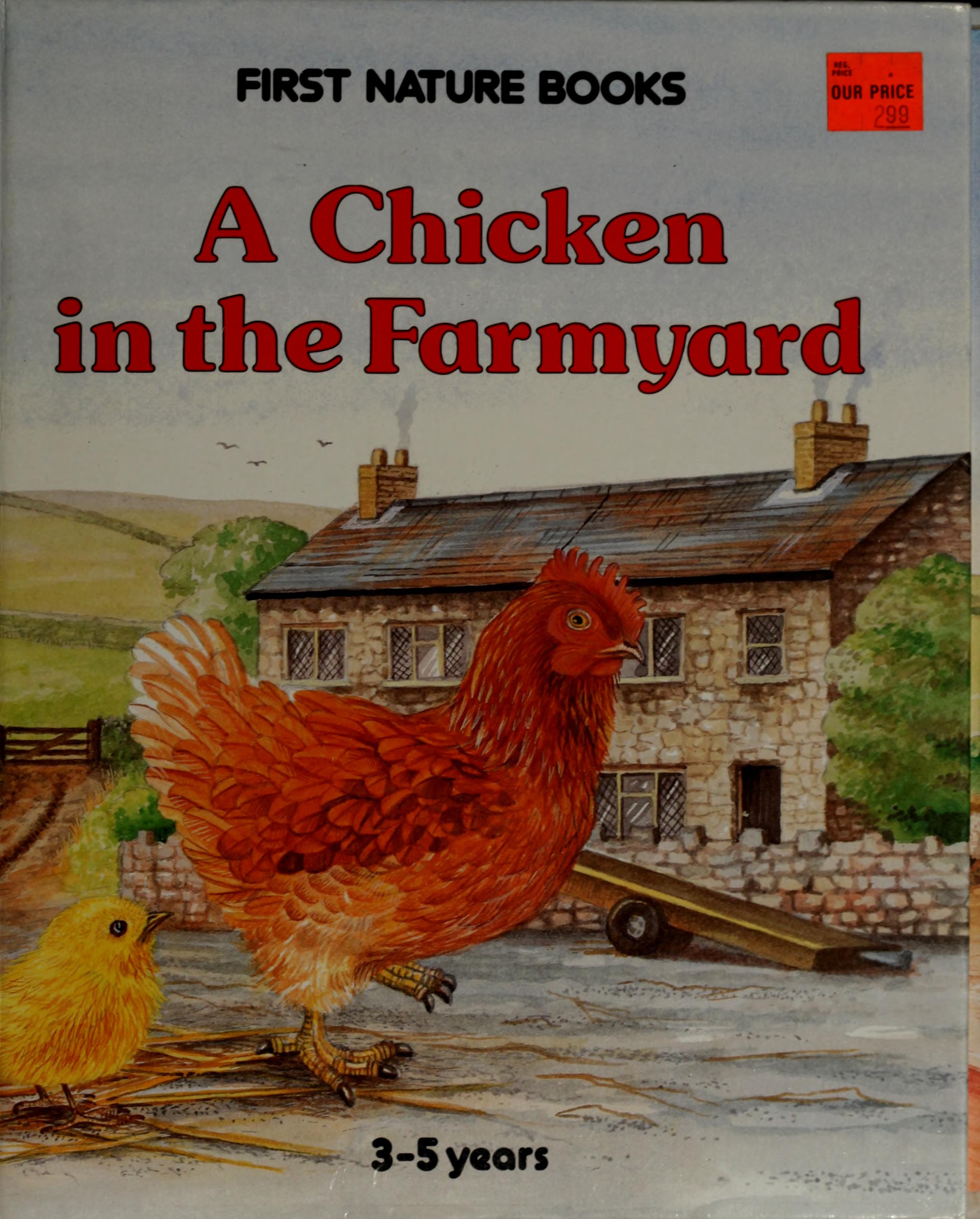 A Chicken in the Farmyard